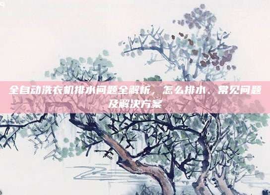 全自动洗衣机排水问题全解析：方法、故障排查与维护建议