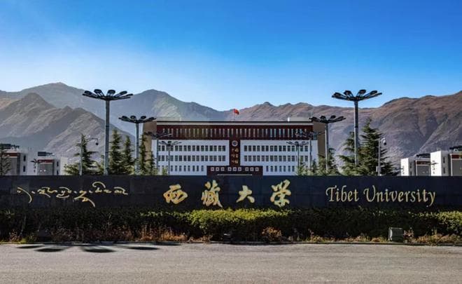 这4所211大学最容易考，500多分就能上，低分学生能捡漏！