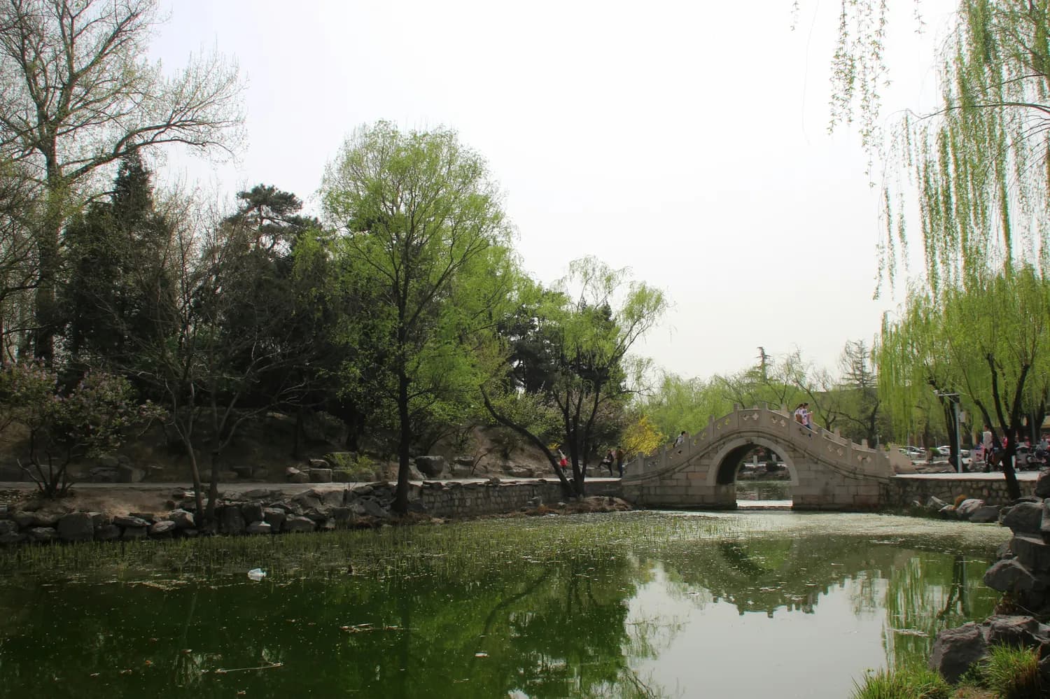 杜牧《清明》诗：一首诗带火杏花村的千年传奇