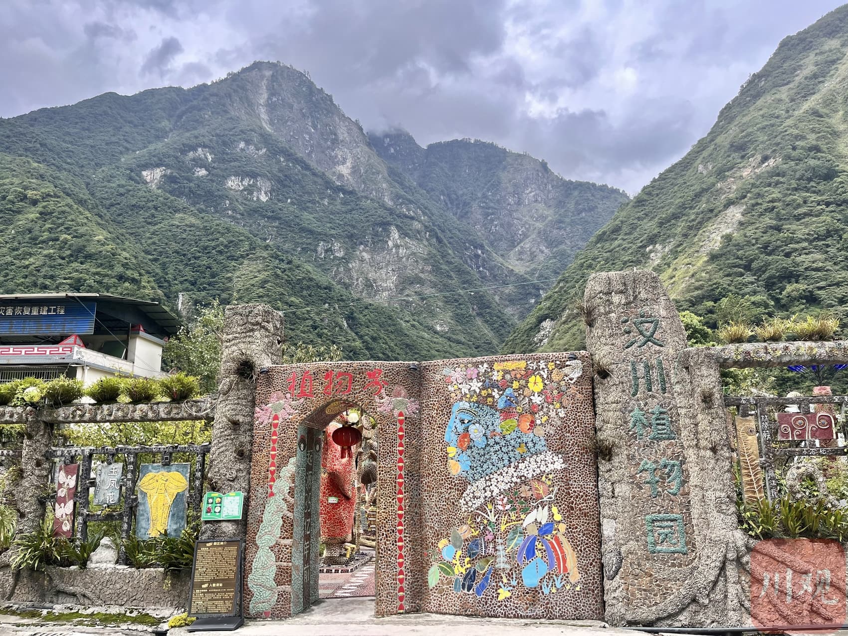 科创未来丨震后16年，在废墟上建起一座“植物王国”