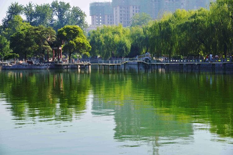 邓州风景公园：自然与现代的完美融合