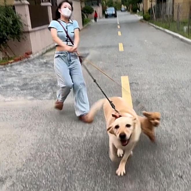 女子给遛狗搭子随礼，竟在礼单上写了自家狗狗的名字，原因曝出