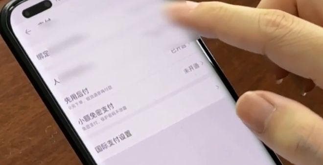 双十一前夕，消费者被"先用后付"功能困扰？一文详解关闭方法