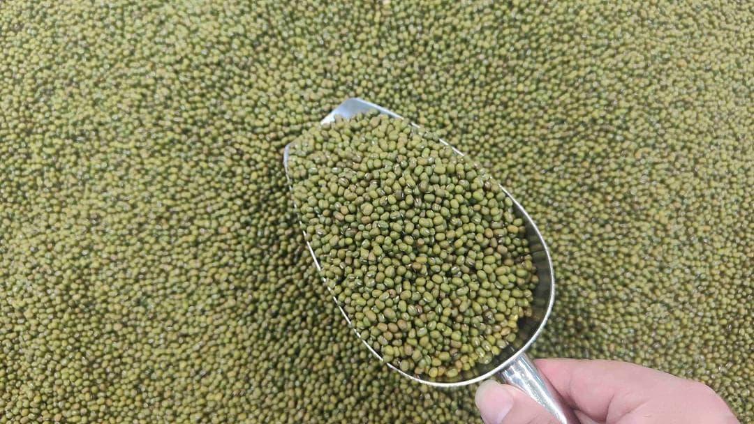 绿豆汤出沙小窍门：清凉一夏，美味又健康