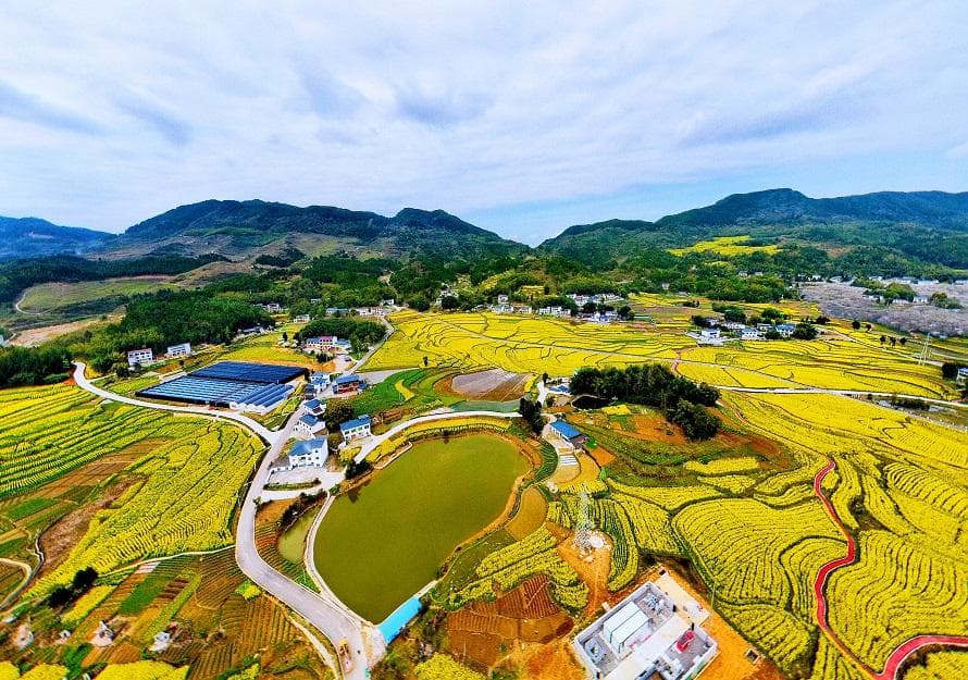 梁平：全域整治“点土成金”