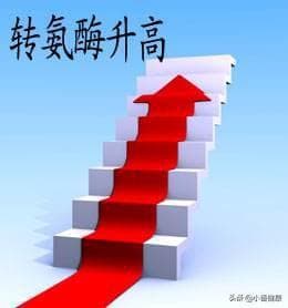 转氨酶轻度升高怎么办？深度剖析原因，助你明智决策！