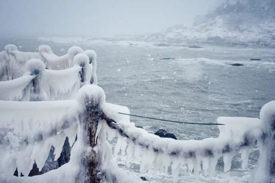 真的不是北极圈！暴雪后的威海，仿佛一夜间进入“冰河世纪”，美的太震撼了！