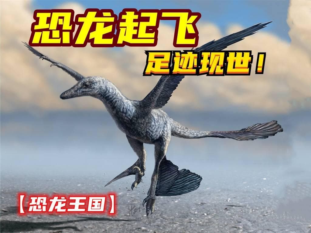 古生物学家发现恐龙飞行足迹！