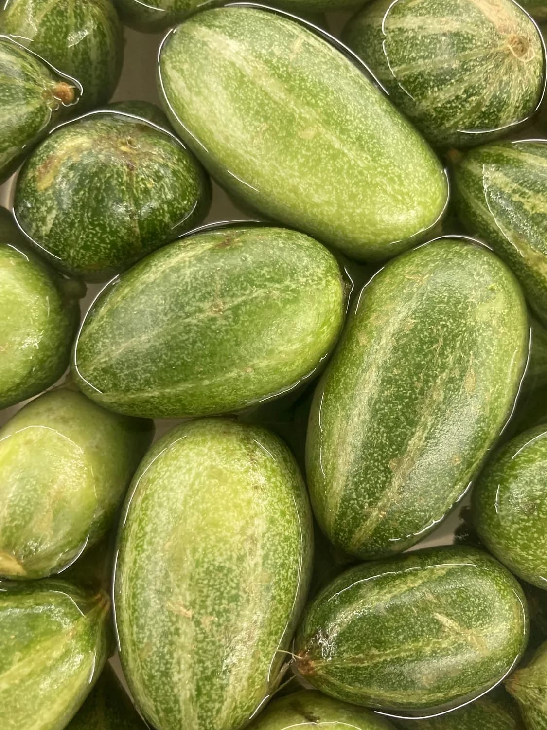 瓜蒌：从经典方剂到现代医药的药用价值