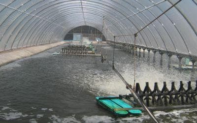 水产养殖生态系统优化管理水质监测