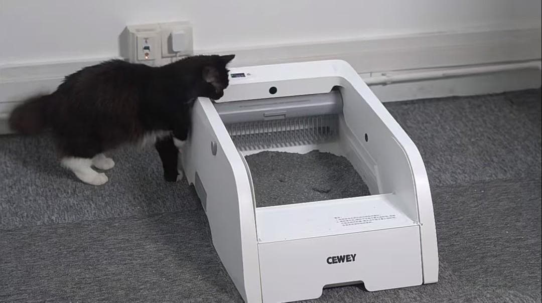双十一囤货：新手养猫必备神器