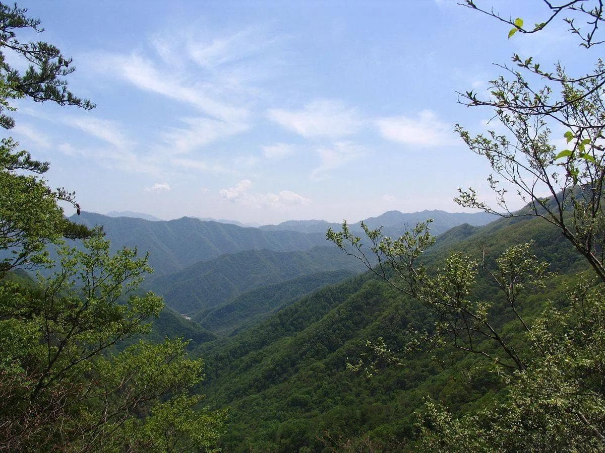 陕西柞水旅游攻略：四大景点与特色美食详解