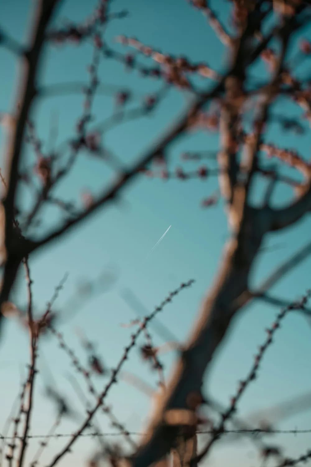 立春：二十四节气之首的文化传承与现代价值