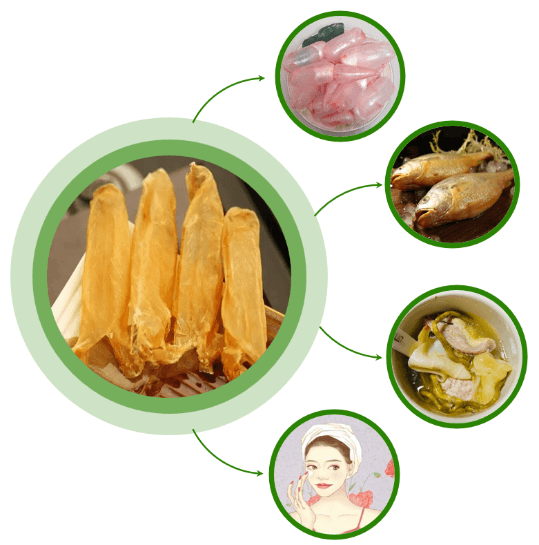 科研突破助力传统食材升级 花胶产品向精准营养食品转型