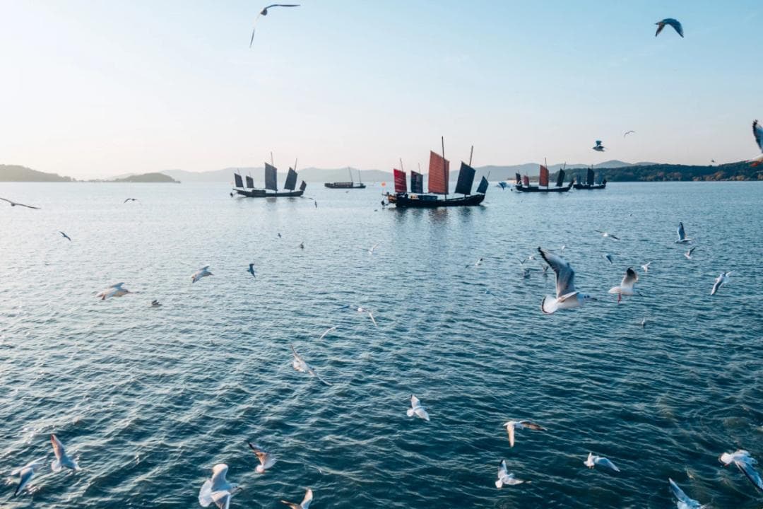 太湖风景名胜区：活动精彩纷呈，邀您龙行龘龘过大年！