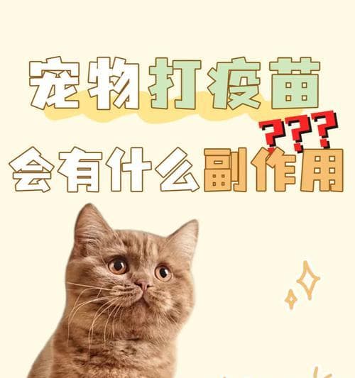 狗狗打完疫苗后的注意事项（保护狗狗健康的关键措施）