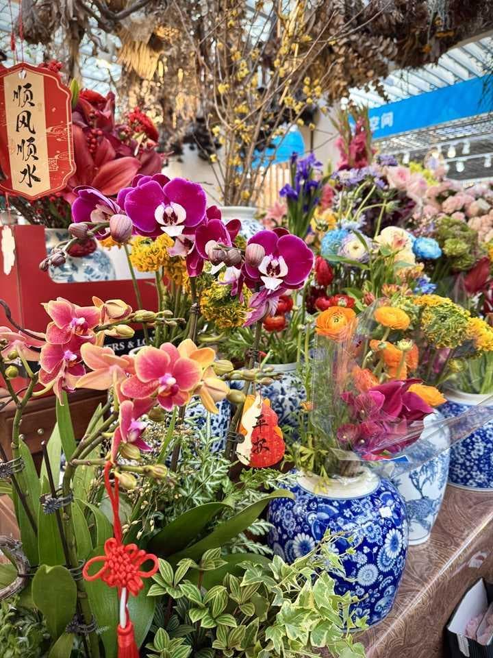 年宵花"受宠"