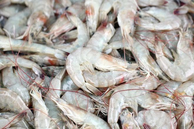 河虾、海虾哪个好？别被价格误导