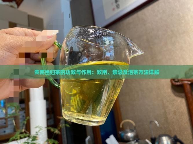 黄芪当归茶的功效与作用：效用、禁忌及泡茶方法详解