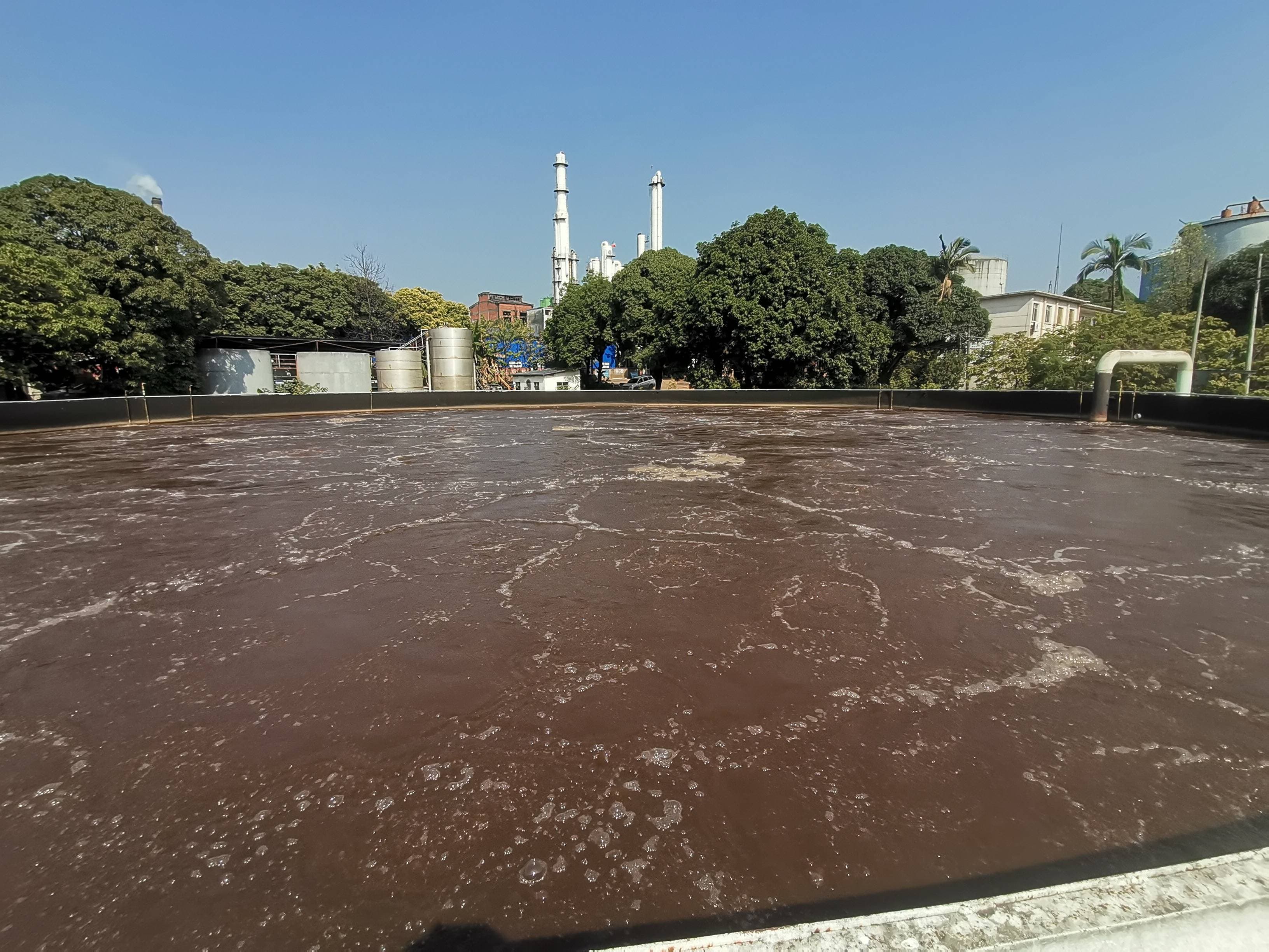 怎么快速降氨氮？污水处理中的有效方法