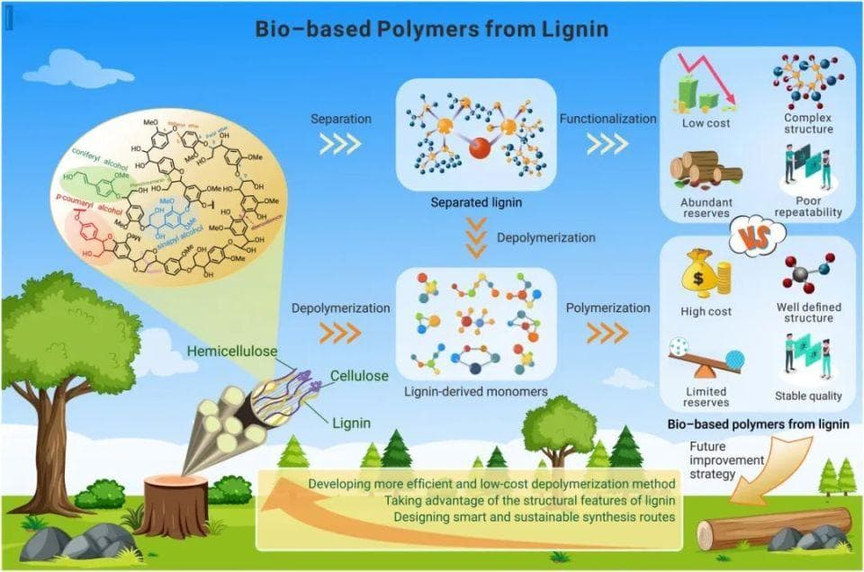 源自木质素的生物基高分子材料
