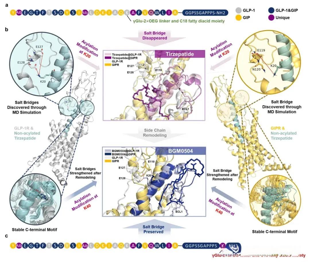 AI辅助糖尿病药物开发，效果提升3倍，中国团队研究登Nature子刊