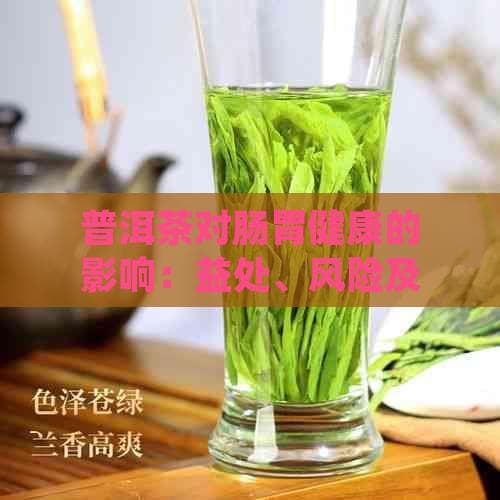 普洱茶与肠胃健康：六大饮用指南全解析
