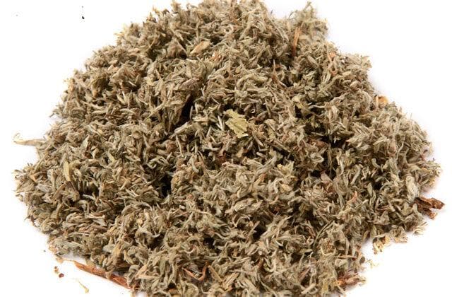 茵陈蒿和青蒿的区别 茵陈如何挑选与保存