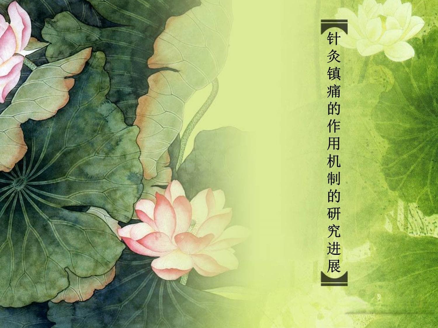 针灸为何能镇痛？现代研究揭示千年医术科学依据