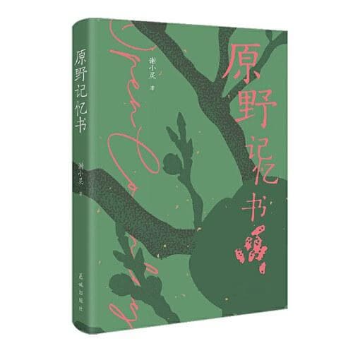 看勇敢的小说家如何讲故事  ——读谢小灵《原野记忆书》