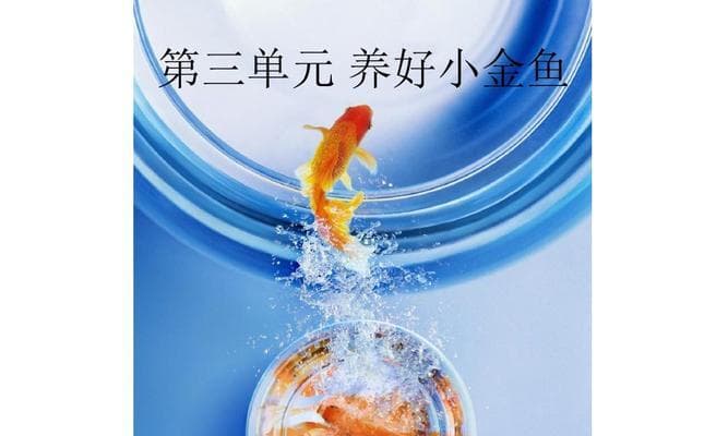 如何养金鱼（了解金鱼的基本需求，让它们健康快乐地生活）