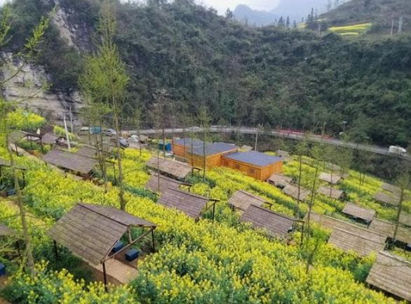 90后北大才女放弃百万年薪，深山养蜂，一年后却凭实力亏了几十万