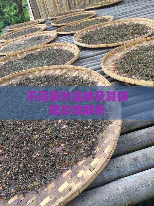 不同茶叶品种及其保健功效解析