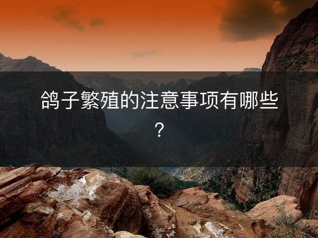 鸽子繁殖的注意事项有哪些？