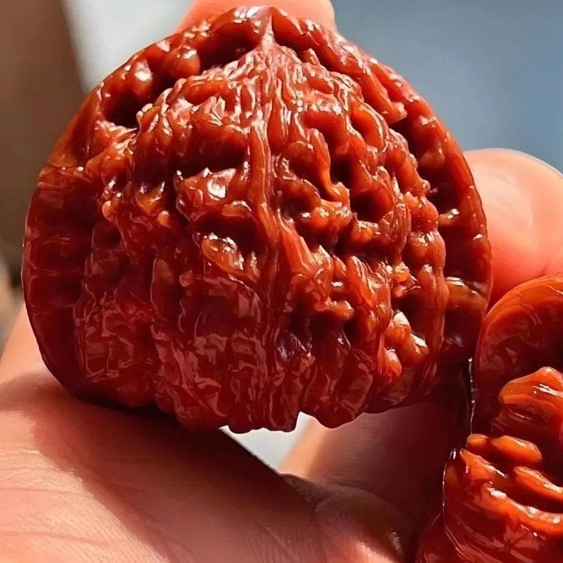 适合新手盘玩的6种文玩核桃，你手中有几对？