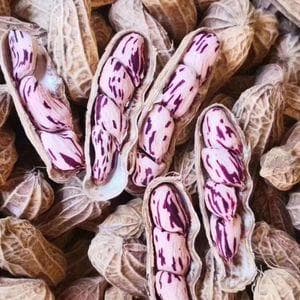 七彩花生功效与作用