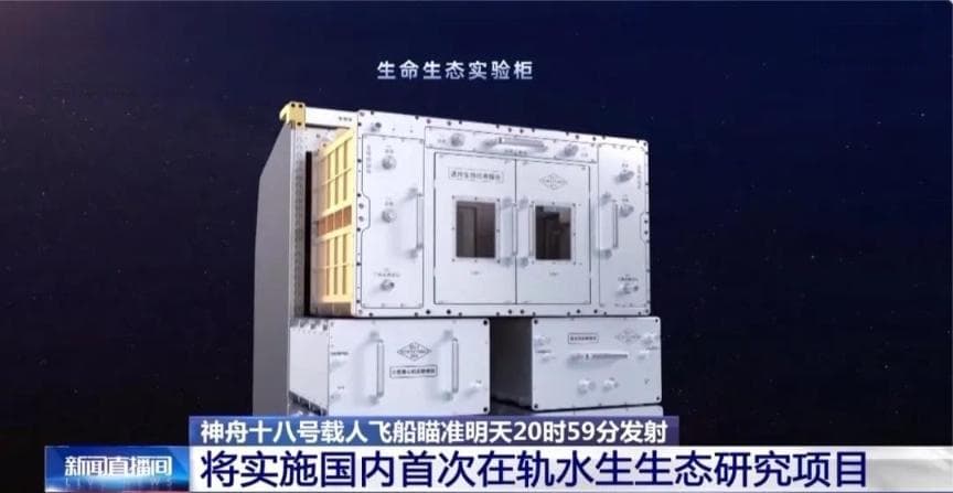 神舟十八号首次开展太空养鱼实验，构建水生生态系统