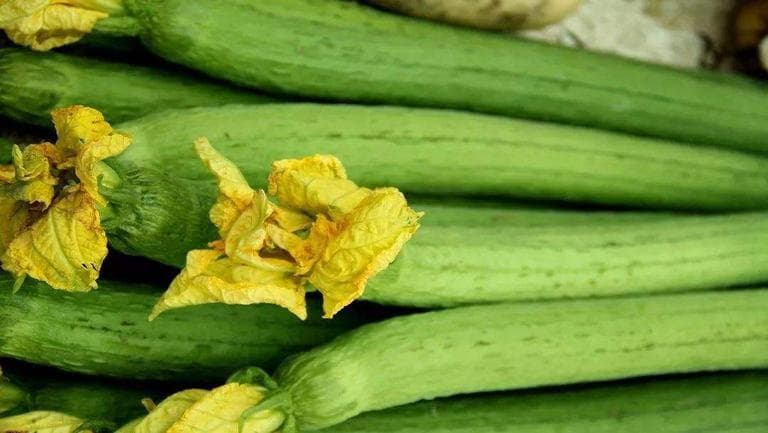 丝瓜的功效与作用、禁忌和食用方法
