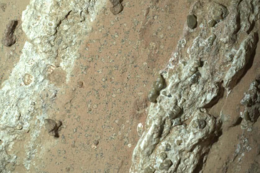 NASA发现火星可能存在生命迹象