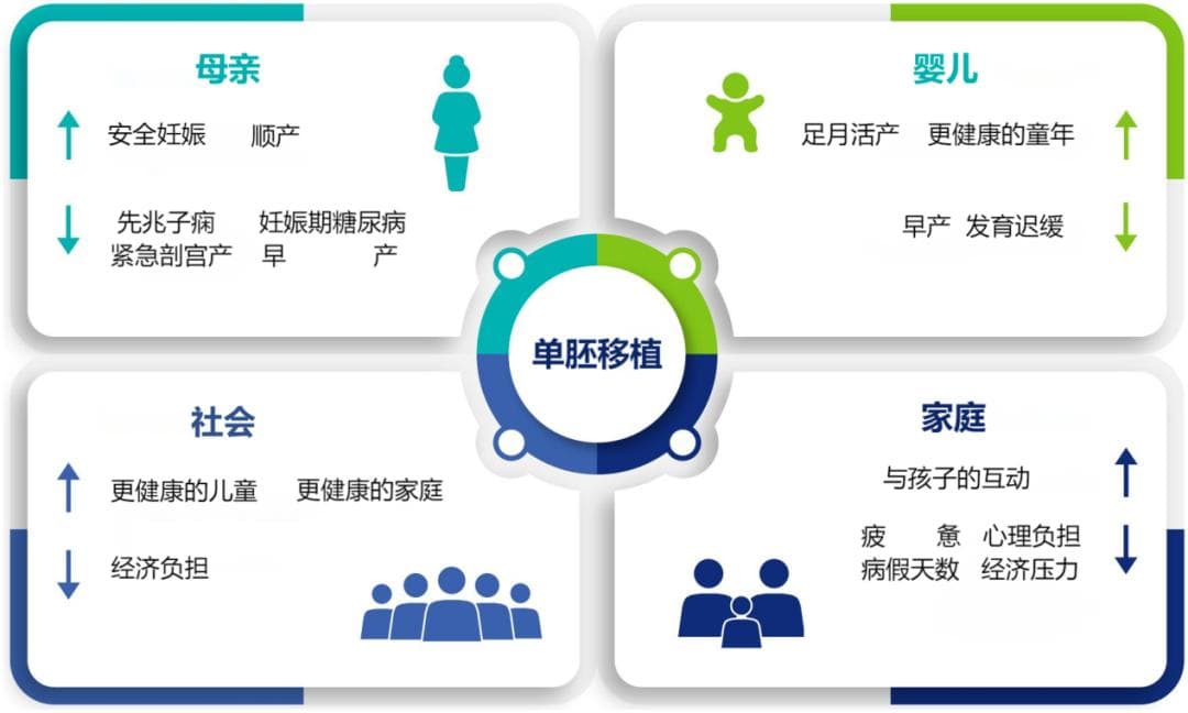 ESHRE指南：IVF/ICSI治疗中胚胎移植数量（2024最新）