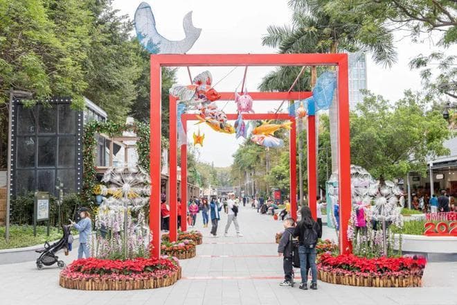 2025深圳南山春节活动时间表！