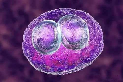 最佳的备孕时长：多久为宜？提前三个月够吗？