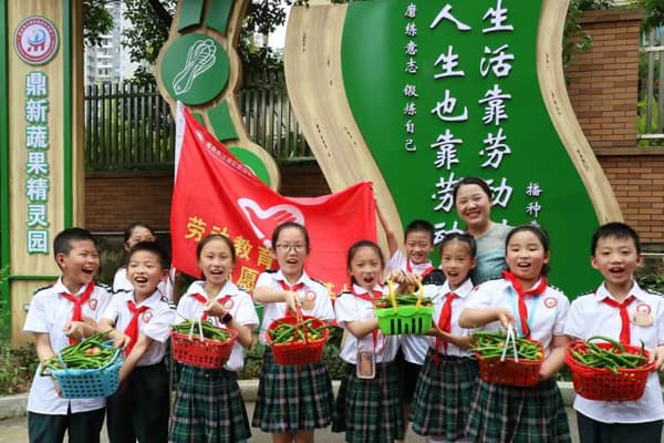 江津区鼎山小学：多措并举科学实现幼小衔接