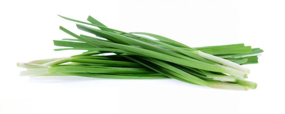 “韭黄”和“韭菜”有啥区别？营养不止差一点！