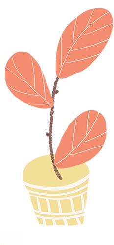 脉冲电场消融技术及其在胰腺癌治疗中的应用