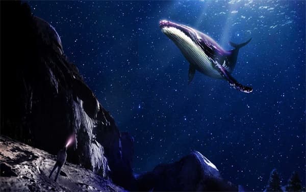 360度幻影成像技术：全息投影的创新应用