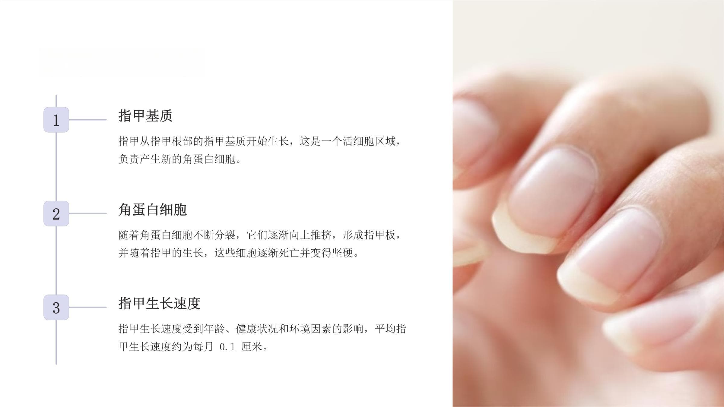 指甲的保护：从功能到护理的全面指南