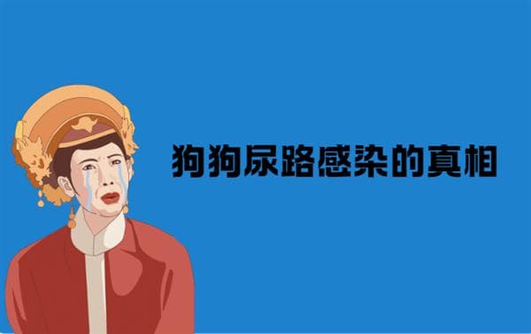 狗狗尿路感染的原因、症状及预防措施