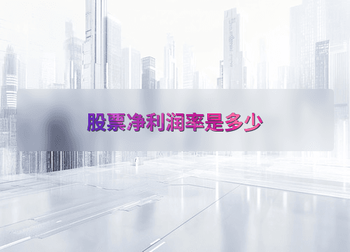 股票净利润率的计算方法与影响因素