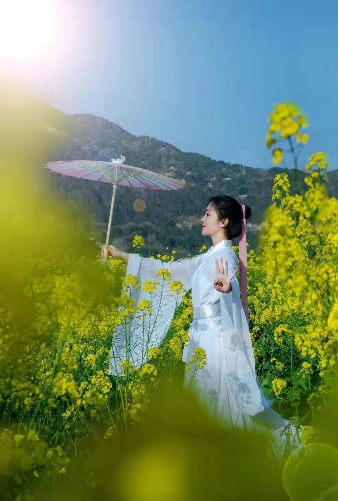 油菜花下的诗意盎然——探寻古人笔下的油菜花诗句